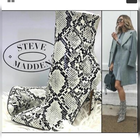 snake print booties steve madden
